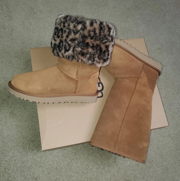 Leopard Uggs - Picture 4 of 4